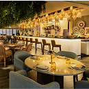 Siddharta by Buddha Bar